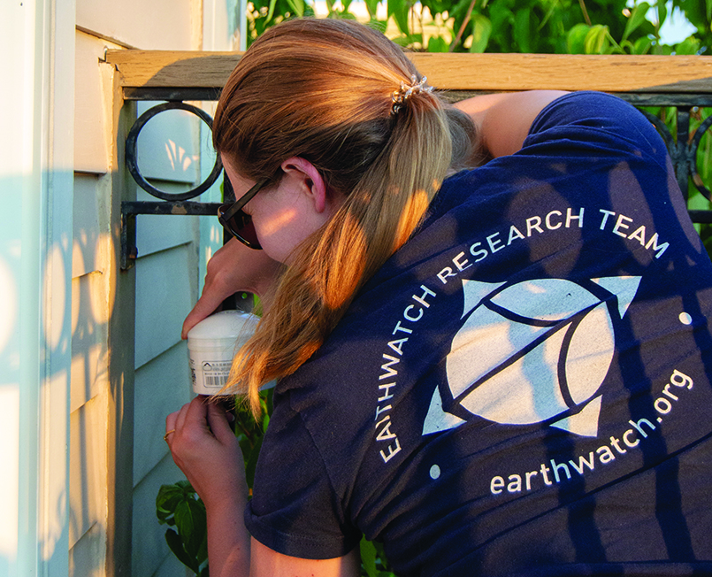 CurieuzenAir and Earthwatch measure chemical substances in the air at 30 locations in Brussels
